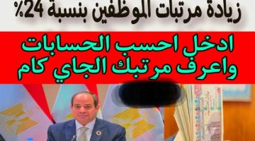 الموظفين مش مصدقين من الفرحة .. زيادة في المرتبات بنسبة 24 % بداية من العام الجديد 2024