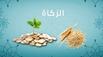 دار الإفتاء تعلن قيمة زكاة عيد الفطر المبارك 2024 وموعد إخراجها