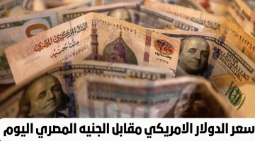 لحظة بلحظة.. سعر الدولار اليوم في مصر بعد قرار البنك المركزي برفع أسعار الفائدة
