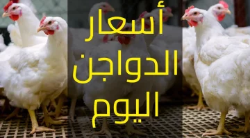 مفاجأة في أسعار ” الدواجن والبيض ” اليوم الجمعة 5-4 في الأسواق المصرية قبل عيد الفطر المبارك !!